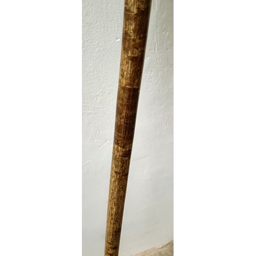 1129 - An early 20th century novelty walking stick, with a carved handle, in the form of a grotesque man, w... 