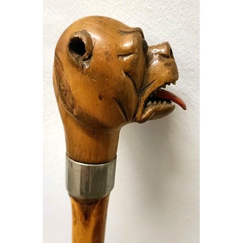 1133 - An early 20th century novelty walking stick, handle carved in the form of a bulldog, with a silver p... 