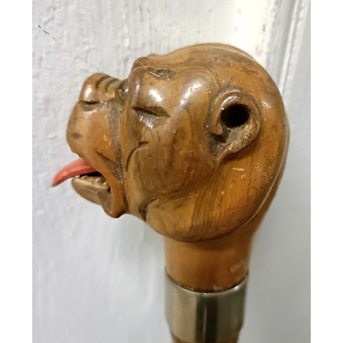 1133 - An early 20th century novelty walking stick, handle carved in the form of a bulldog, with a silver p... 