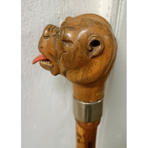 1133 - An early 20th century novelty walking stick, handle carved in the form of a bulldog, with a silver p... 