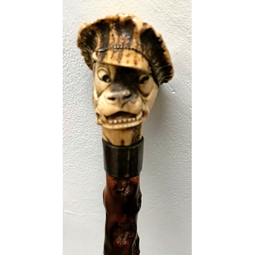 1134 - A novelty walking stick, with a carved antler handle, in the form of a bulldog, with a sterling silv... 