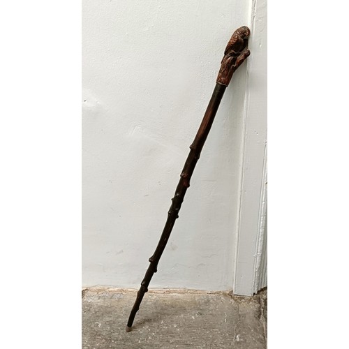 1135 - A walking stick, with a carved handle, in the form of a bird, 96 cm Provenance: Part of a single own... 