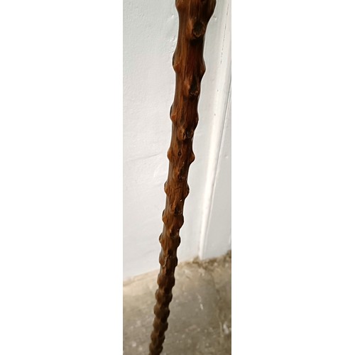 764 - A novelty walking stick, with a molded handle, in the form of a laughing man, with a silver collar, ... 
