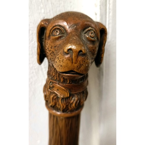 768 - A late 19th/early 20th century novelty walking stick, with carved handle in the form of a dog, 92 cm... 