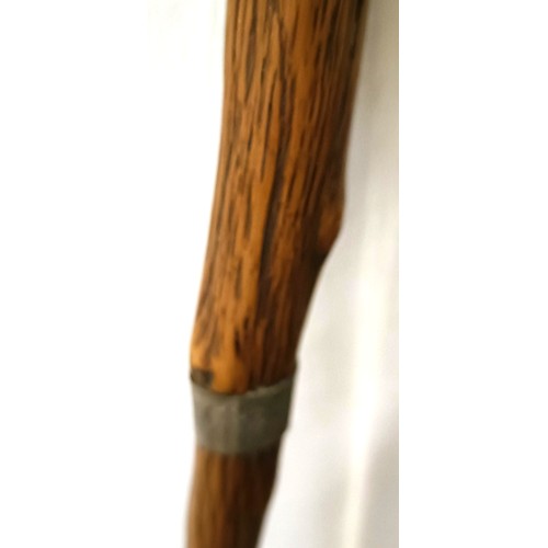 768 - A late 19th/early 20th century novelty walking stick, with carved handle in the form of a dog, 92 cm... 
