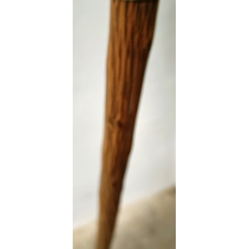 768 - A late 19th/early 20th century novelty walking stick, with carved handle in the form of a dog, 92 cm... 