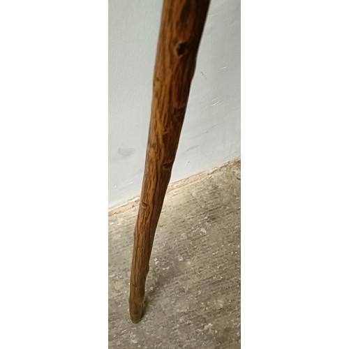 768 - A late 19th/early 20th century novelty walking stick, with carved handle in the form of a dog, 92 cm... 