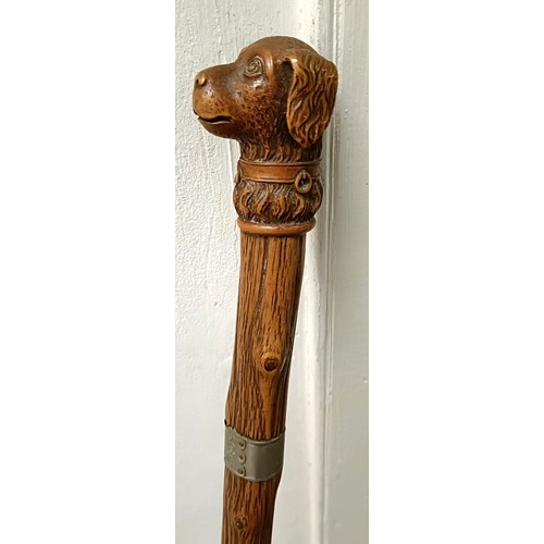 768 - A late 19th/early 20th century novelty walking stick, with carved handle in the form of a dog, 92 cm... 