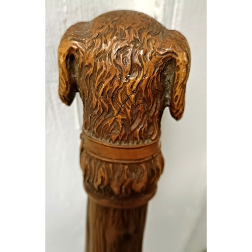 768 - A late 19th/early 20th century novelty walking stick, with carved handle in the form of a dog, 92 cm... 