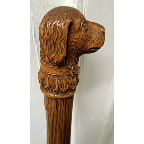 768 - A late 19th/early 20th century novelty walking stick, with carved handle in the form of a dog, 92 cm... 
