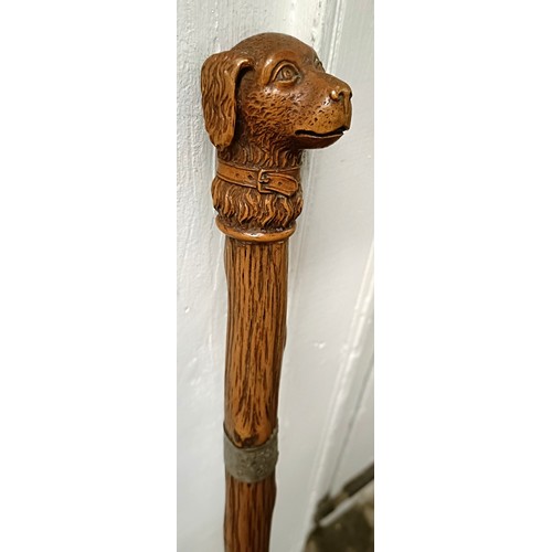 768 - A late 19th/early 20th century novelty walking stick, with carved handle in the form of a dog, 92 cm... 