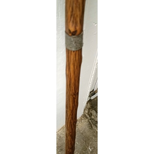 768 - A late 19th/early 20th century novelty walking stick, with carved handle in the form of a dog, 92 cm... 