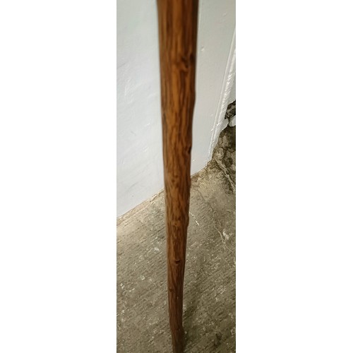 768 - A late 19th/early 20th century novelty walking stick, with carved handle in the form of a dog, 92 cm... 