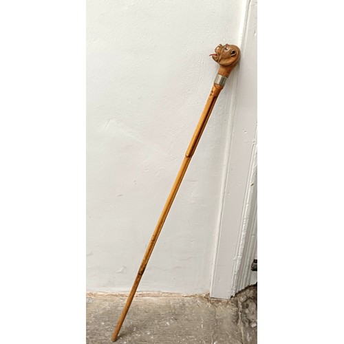 771 - An early 20th century novelty walking stick, handle carved in the form of a bulldog, with a silver p... 
