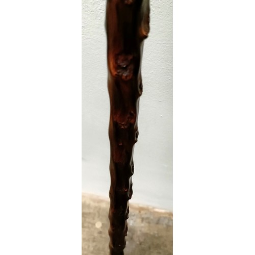 772 - A novelty walking stick, with a carved antler handle, in the form of a bulldog, with a sterling silv... 