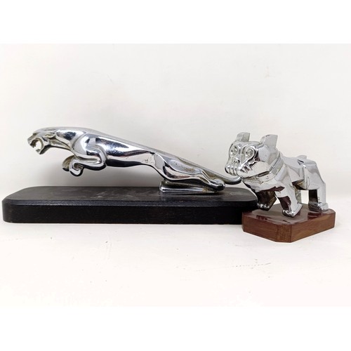 Lot 101       