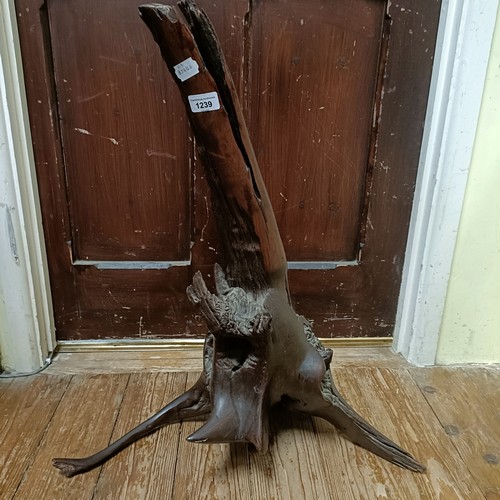 Lot 925       