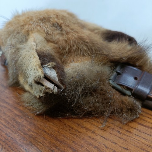 871 - Taxidermy: A fox's mask on an oak shield shaped plaque, labelled R.A. (Bordon) Draghounds, Oct 29th ... 