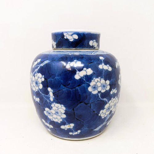 Lot 709       