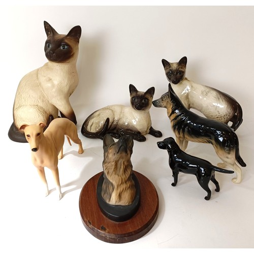 601 - A Beswick cat, 24 cm high, three other cats, and four dogs (8)