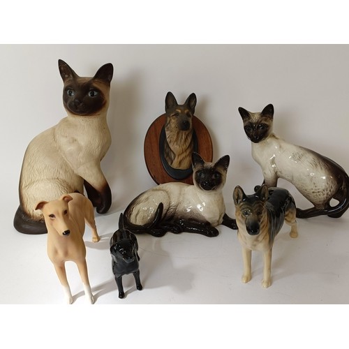 601 - A Beswick cat, 24 cm high, three other cats, and four dogs (8)