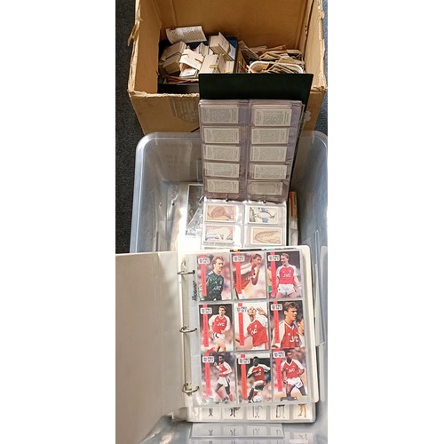 Lot 660       