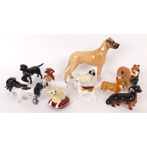 609 - A Beswick figure of a Great Dane, and assorted Beswick dog figures