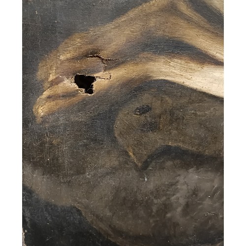 755 - 19th century, English school, dead game, 55 x 73 cm (unframed)