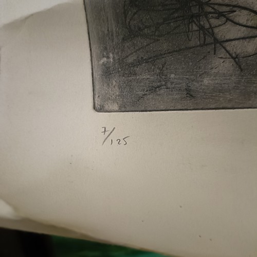 288 - Jafar T Kaki (Syrian b. 1951), Rash Y Sur, limited edition print, 7/125, signed in pencil and dated ... 