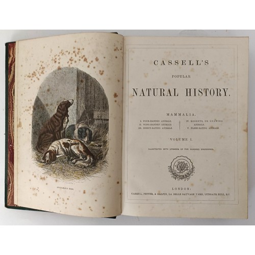 56 - The National History Of England, 4 Vol bound as two, another set, and Cassell's Popular Natural Hist... 