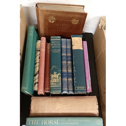 Lot 65        
