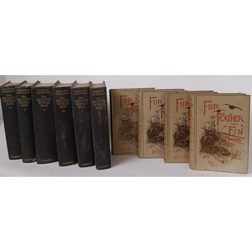 Lot 118       