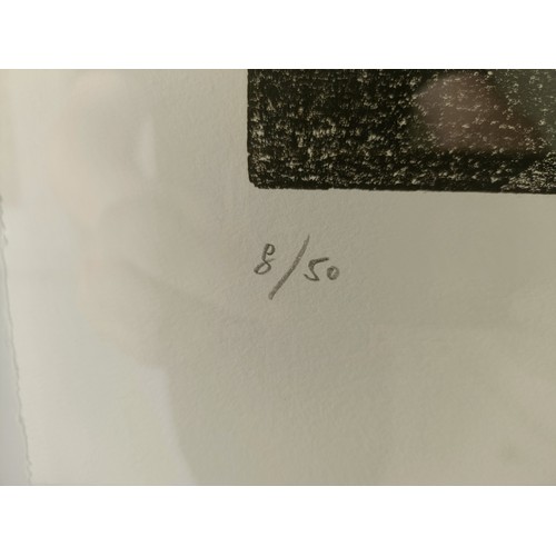 256 - ***Regretfully Withdrawn*** Rod Nelson, The Jagged Edge Of The Land, limited edition print, 8/50, si... 
