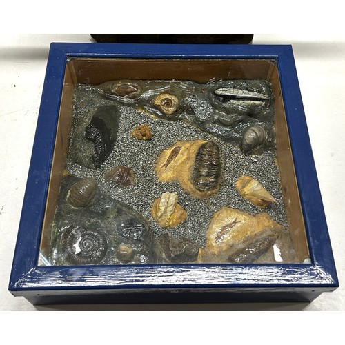 361 - A plaster figure of a race horse and rider, and a plaster diagram of various fossils, cased (2)Prove... 
