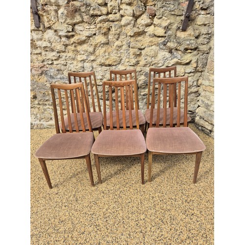 1002 - A set of six G-Plan dining chairs, designed by Leslie Dandy (6)