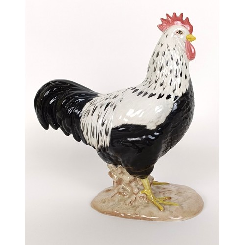 77 - A Beswick Sussex Cockerel, 1899, gloss