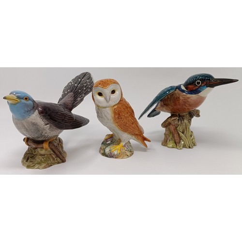 93 - A Beswick Cuckoo, 2315, a Kingfisher, 2371, and an Owl, 2026, all gloss (3)