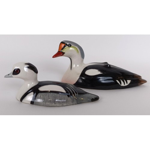 100 - A Beswick Peter Scott King Eider Duck, 1521, and a Smew Duck, 1522, both gloss (2)