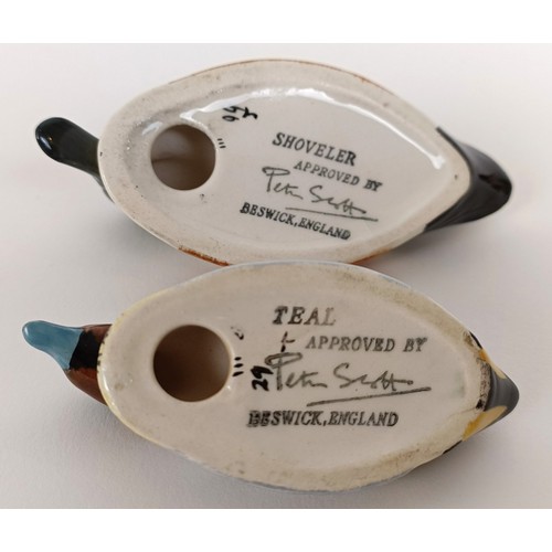 103 - A Beswick Peter Scott Shoveler, 1528, and a Teal Duck, both gloss (2)