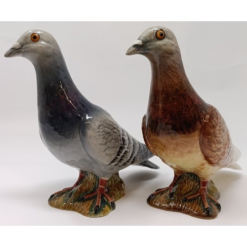 107 - A Beswick Pigeon, 1st version, red, 1383, and another, blue, both gloss (2)