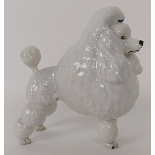 113 - A Beswick Poodle, Ivanola Gold Digger, white, 2108, gloss
