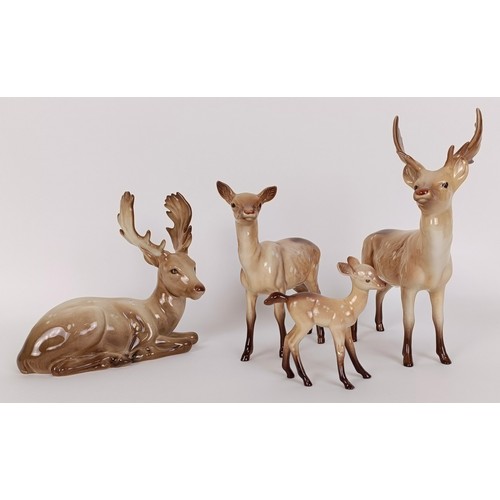 115 - A Beswick Stag, lying, 954, another, standing, 981, a Doe, 999A, and a fawn 1000B, all gloss (4)