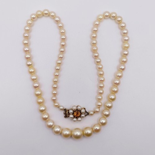 668 - A cultured pearl necklace, with a 9ct gold clasp