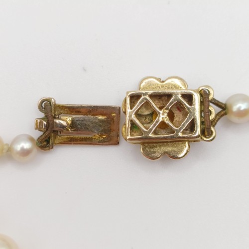 668 - A cultured pearl necklace, with a 9ct gold clasp