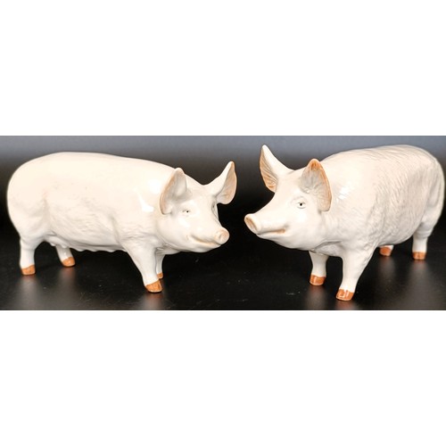 243 - A Beswick Sow, 1452A , and a Boar, 1453A, both gloss (2)