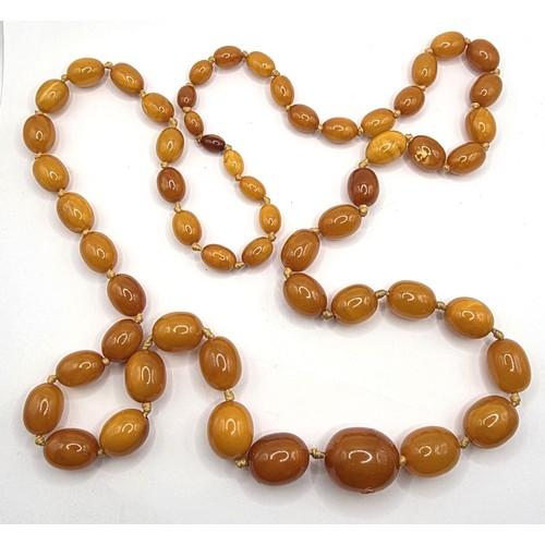 808 - A butterscotch amber bead necklace, 63.7 g