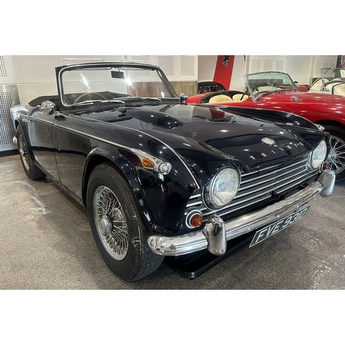 Image Placeholders2_edited.jpg