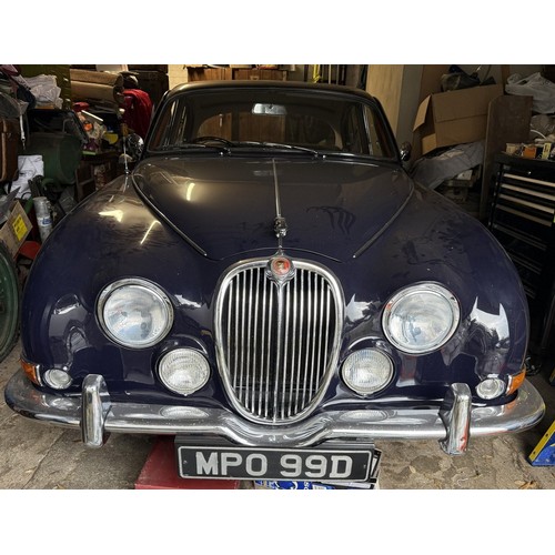 Image Placeholders2_edited.jpg