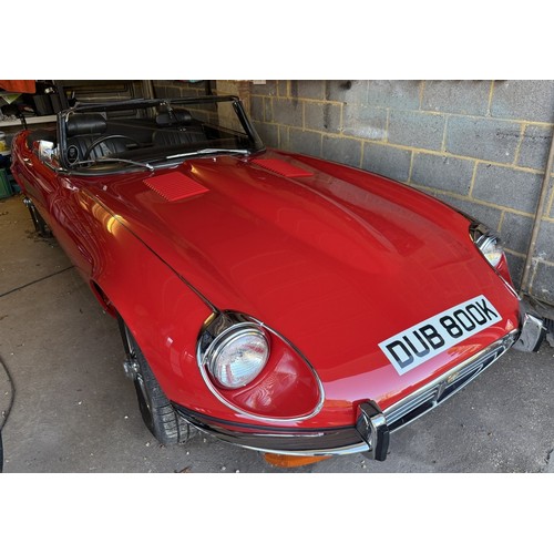 Image Placeholders2_edited.jpg