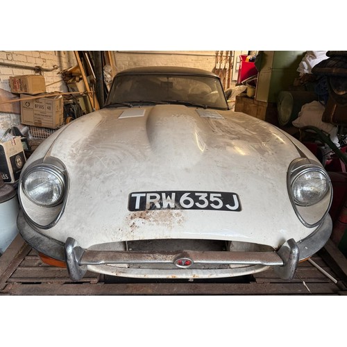 Image Placeholders2_edited.jpg